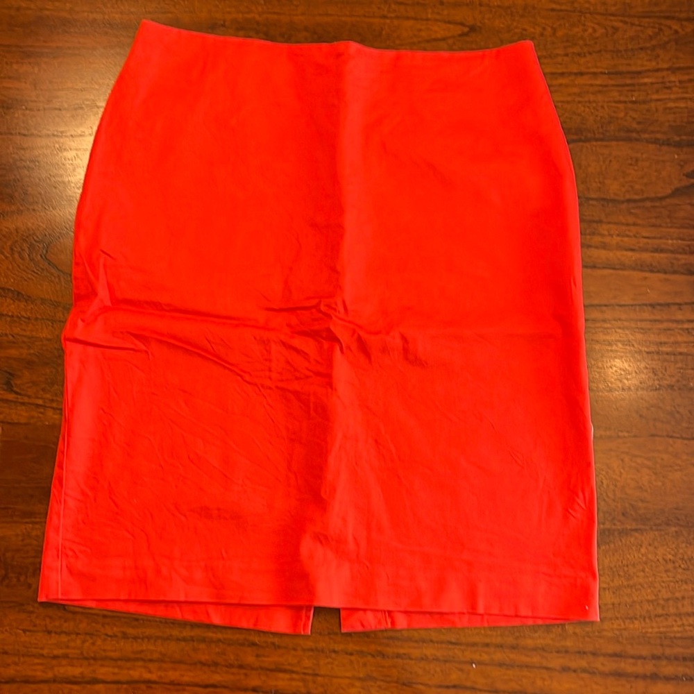 New York & Company Skirt